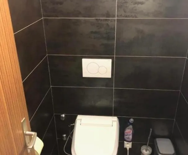 公寓 Zayetta 采尔马特